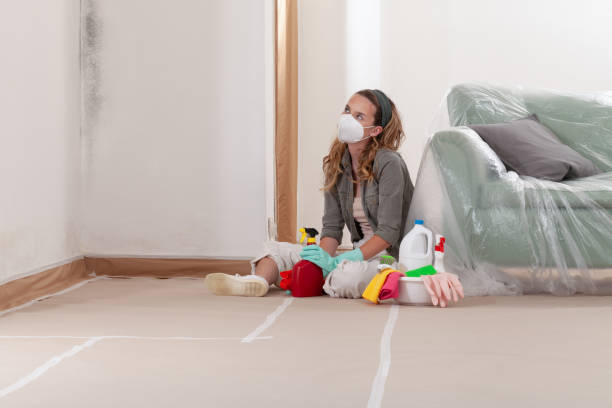 Reliable Mold Remediation contractor in Greencastle, PA by WQB Mold Removal